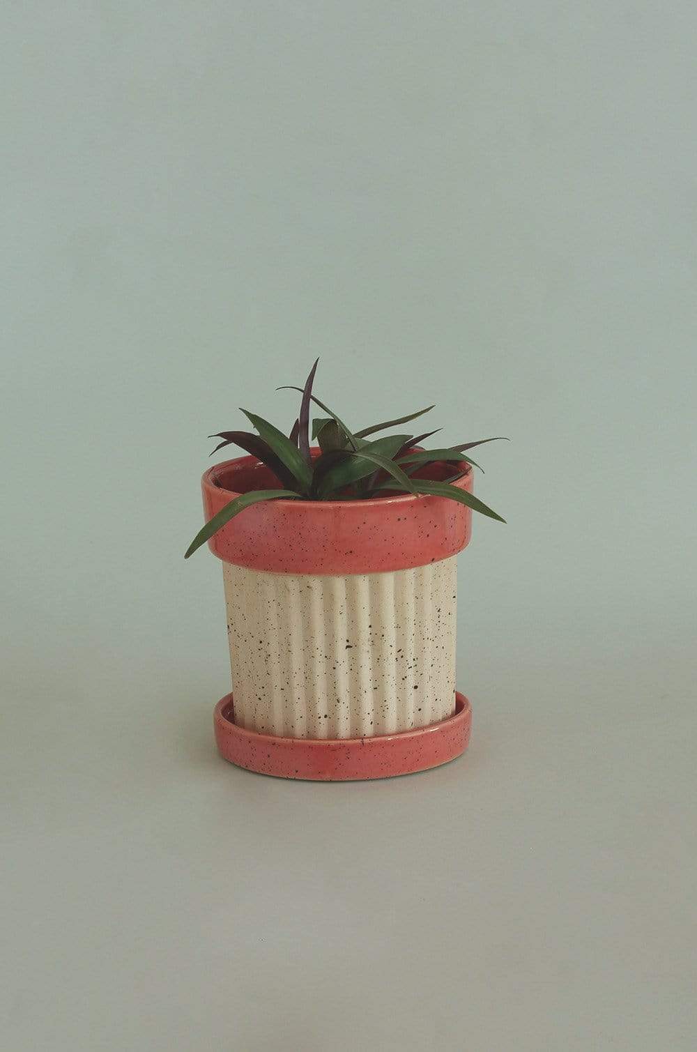 Crinkle Pop Ceramic Planter with Plate
