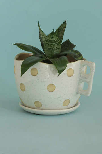 Madhatter Polka Dot Teacup White Planter