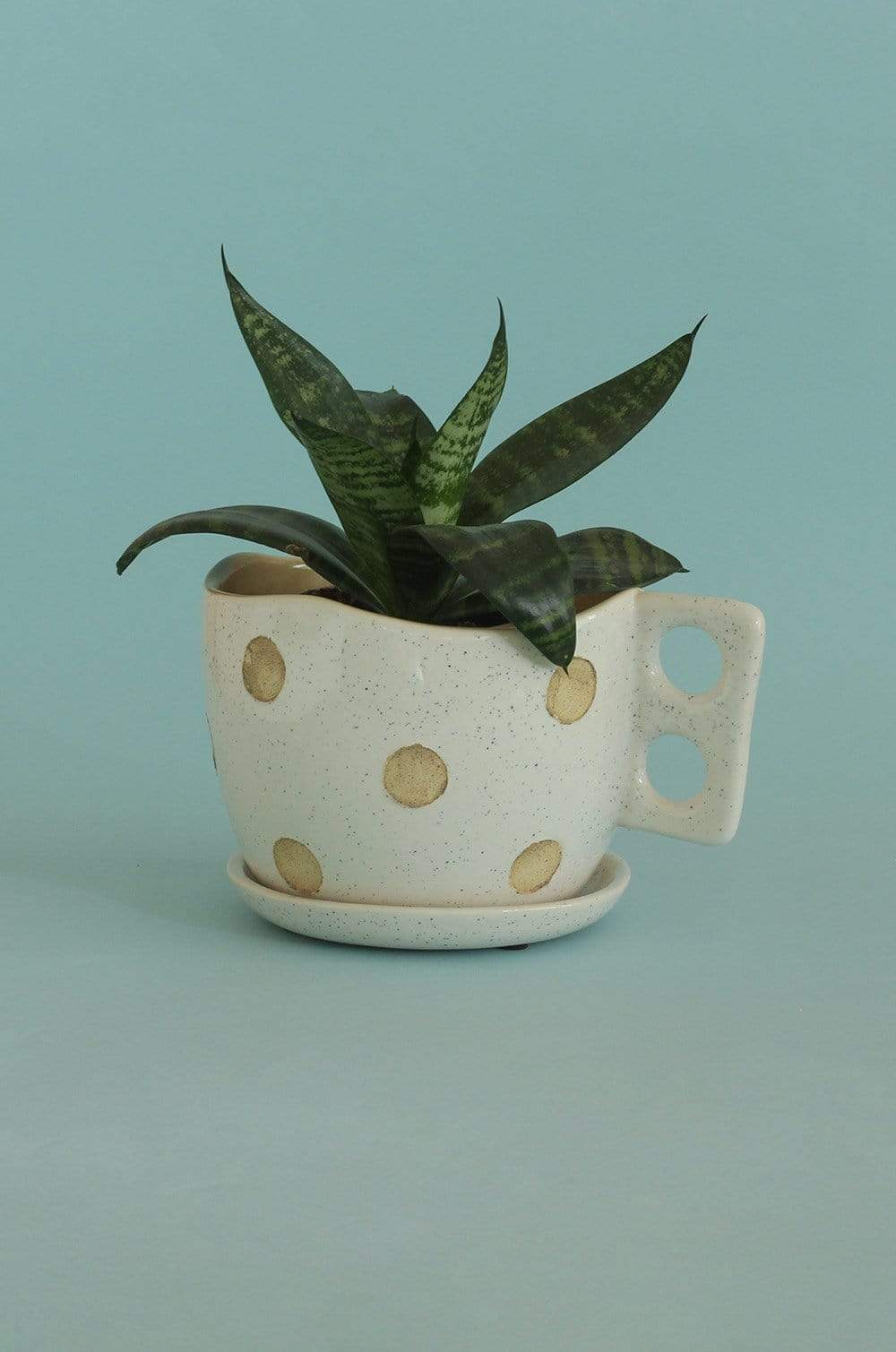 Madhatter Polka Dot Teacup White Planter