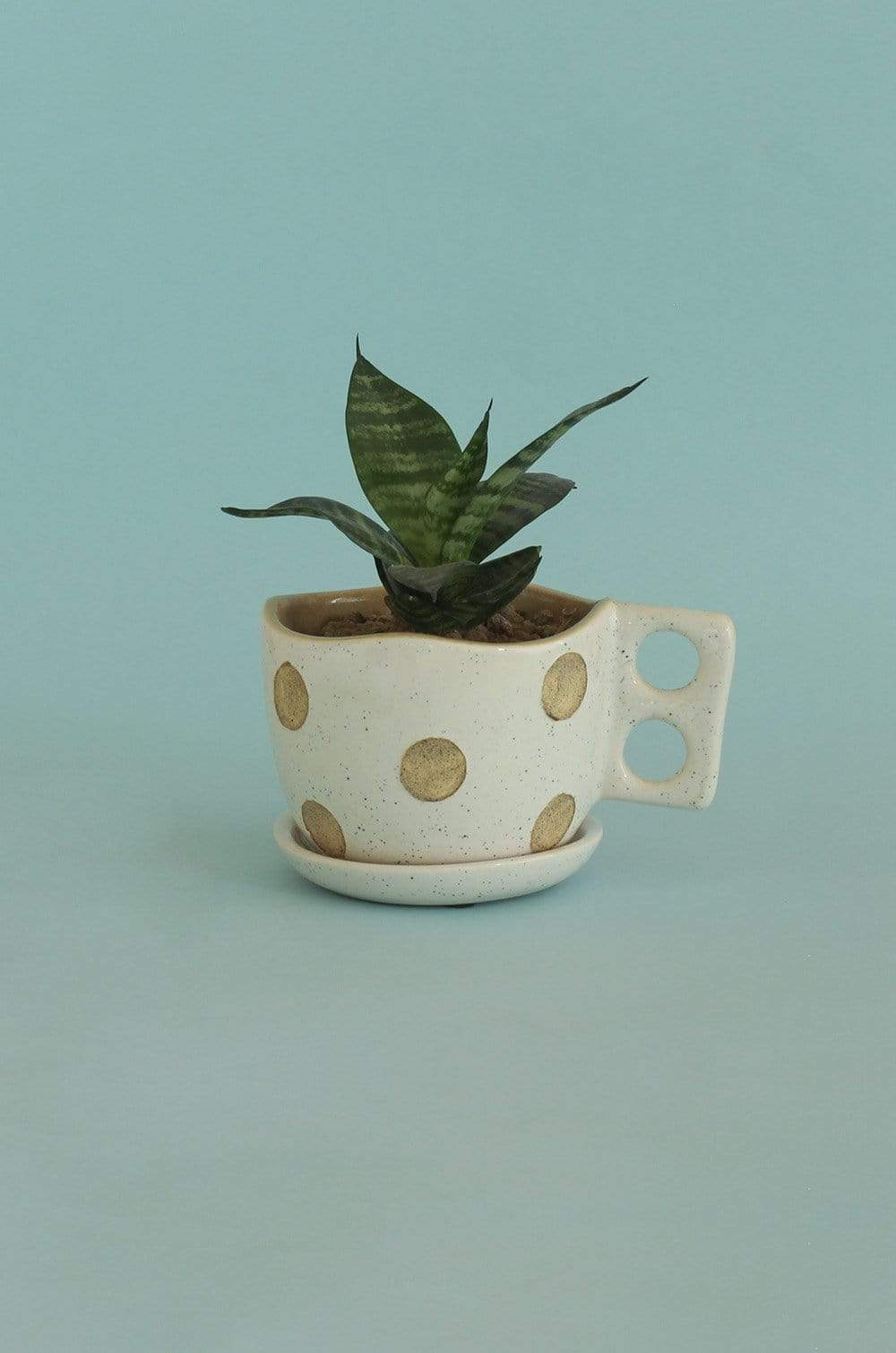 Madhatter Polka Dot Teacup White Planter