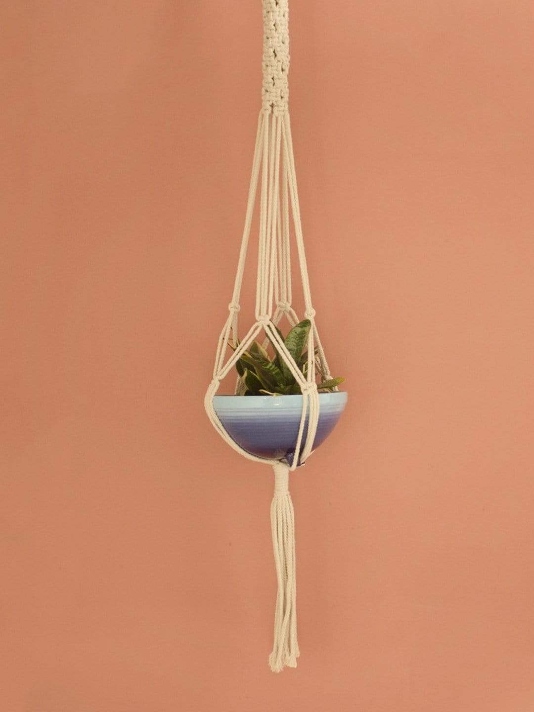 Knotted Planter Hanging