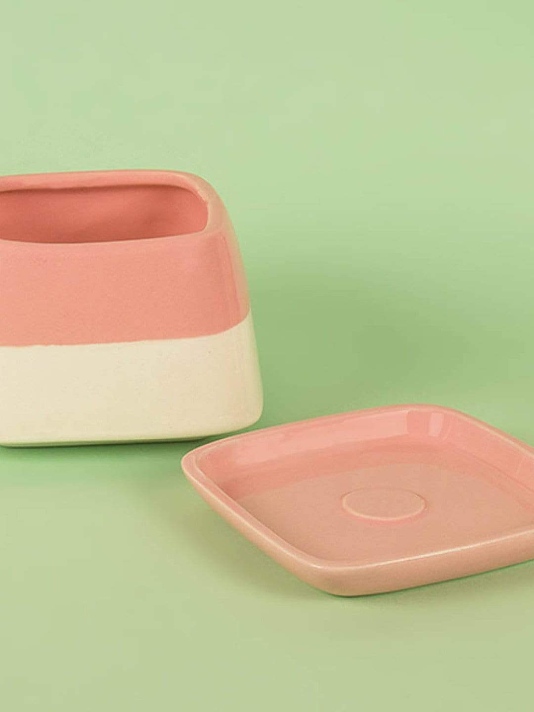 Nova Half N Half Ceramic Planter