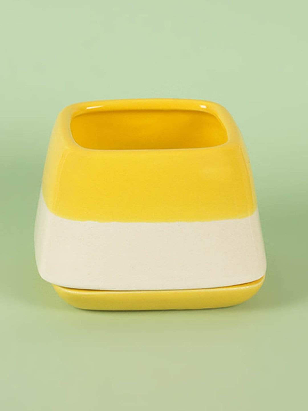 Nova Half N Half Ceramic Planter