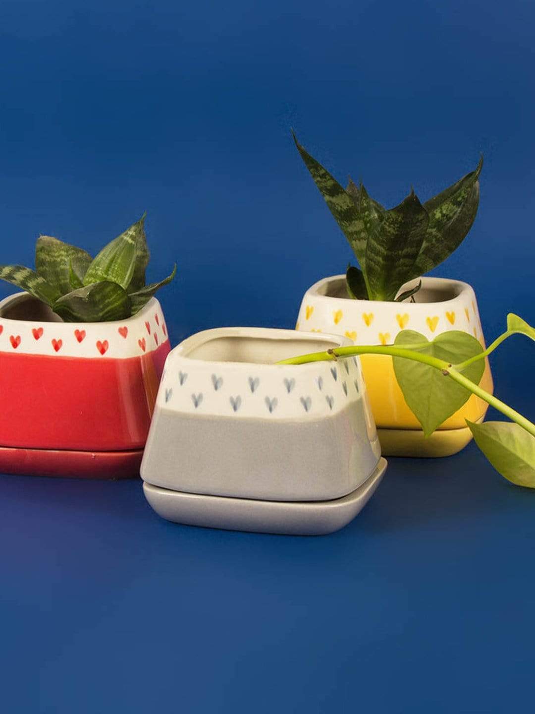 Nova Hearts Ceramic Planter