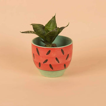 Watermelon Planter
