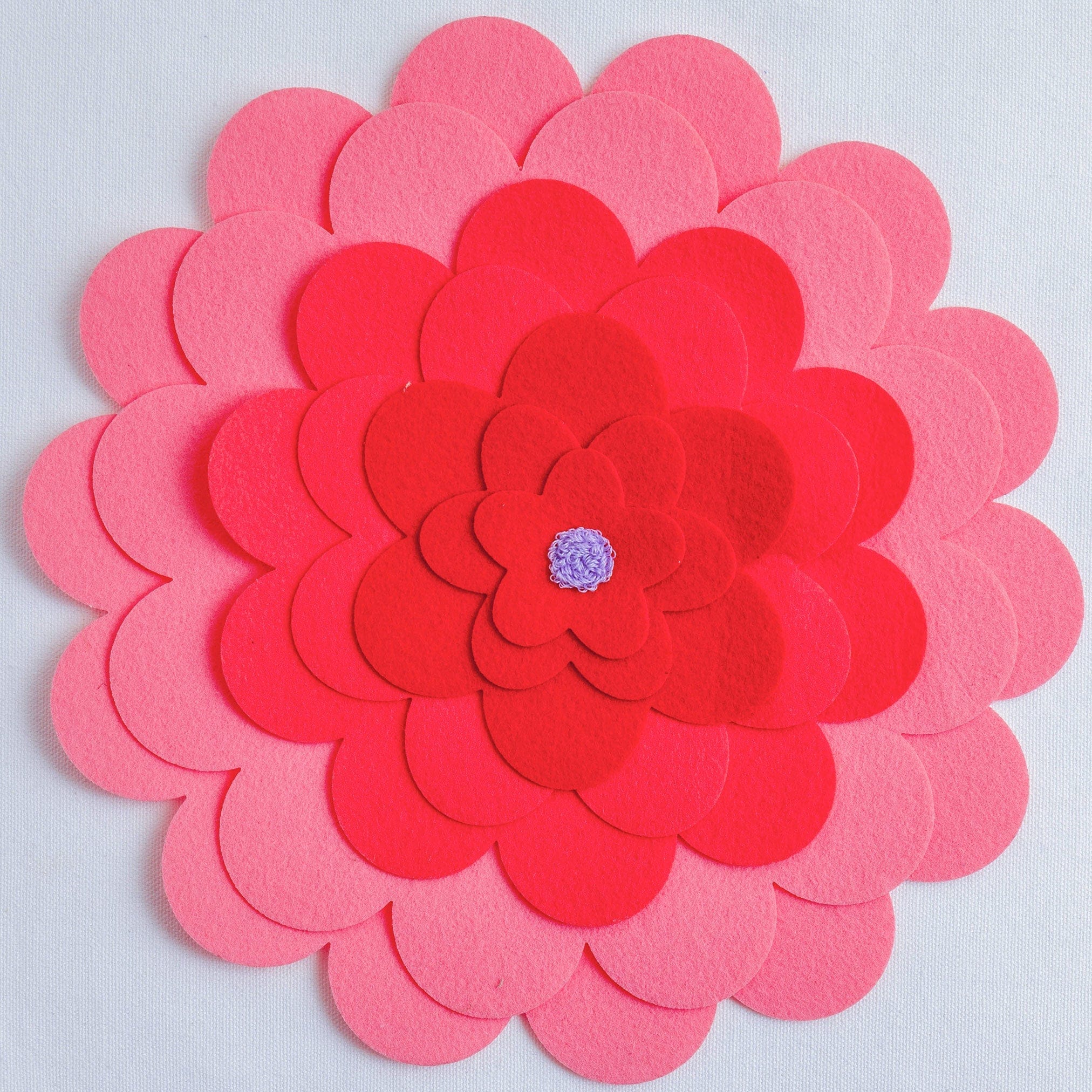 Zookeeper Doughnut a Day Storage Box